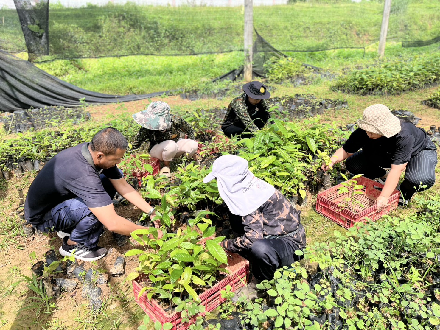 ปรับเตรียมพื้นที่ เพื่อจัดกิจกรรมอนุรักษ์ทรัพยากรป่า